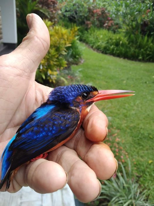 Eyes of my Beloved- When you need a friend